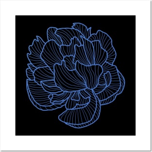 Peony line-art blue Posters and Art